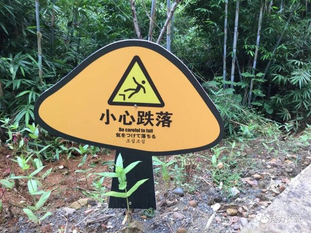 申博sunbet·(中国)官方网站